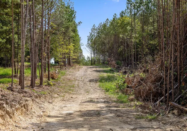Photo 4 of Land for sale at Tract 9 Lake Kathy Rd, Tunnel Hill, GA 30755 | MLS# 1542512 | Listing updated on 2026-09-10