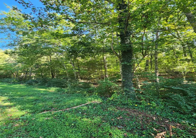 Photo 1 of Land for sale at 0 Sneed Rd #5, Decatur, TN 37322 | MLS# 1542494 | Listing updated on 2026-09-28