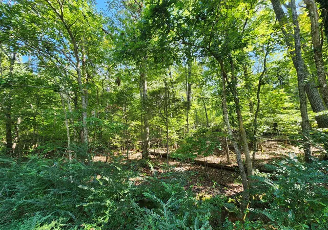 Photo 2 of Land for sale at 0 Sneed Rd #5, Decatur, TN 37322 | MLS# 1542494 | Listing updated on 2026-09-28