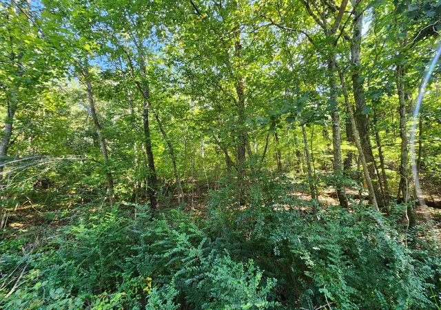 Photo 3 of Land for sale at 0 Sneed Rd #5, Decatur, TN 37322 | MLS# 1542494 | Listing updated on 2026-09-28