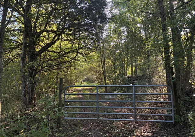 Photo 2 of Sale Pending at 00 County Rd 675, Riceville, TN 37370 | MLS# 1542498 | Listing updated on 2026-10-01