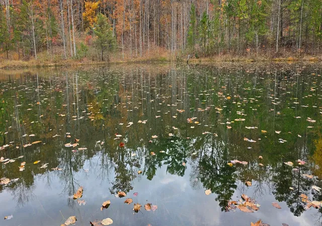 Photo 1 of Land for sale at 00 Bob Cat Trl, Dunlap, TN 37327 | MLS# 1542672 | Listing updated on 2026-09-11