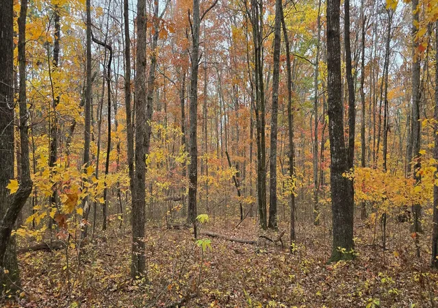 Photo 3 of Land for sale at 00 Bob Cat Trl, Dunlap, TN 37327 | MLS# 1542672 | Listing updated on 2026-09-11
