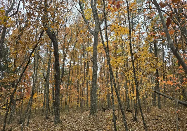 Photo 4 of Land for sale at 00 Bob Cat Trl, Dunlap, TN 37327 | MLS# 1542672 | Listing updated on 2026-09-11