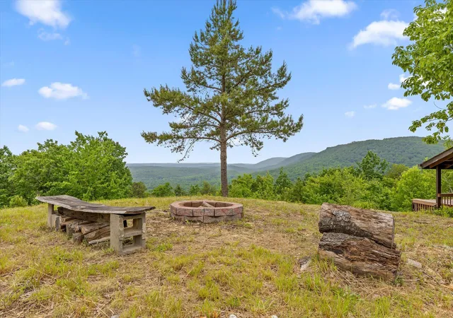 Photo 4 of Land for sale at 13532 Stoney Trl, Sale Creek, TN 37373 | MLS# 1542655 | Listing updated on 2026-09-11
