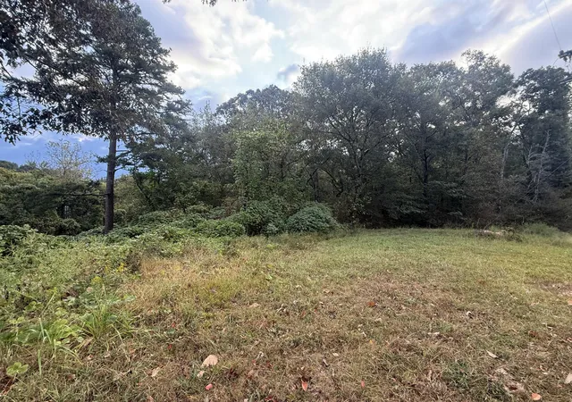 Photo 1 of Land for sale at 0 11th Street, Bridgeport, AL 35740 | MLS# 1543246 | Listing updated on 2026-09-23
