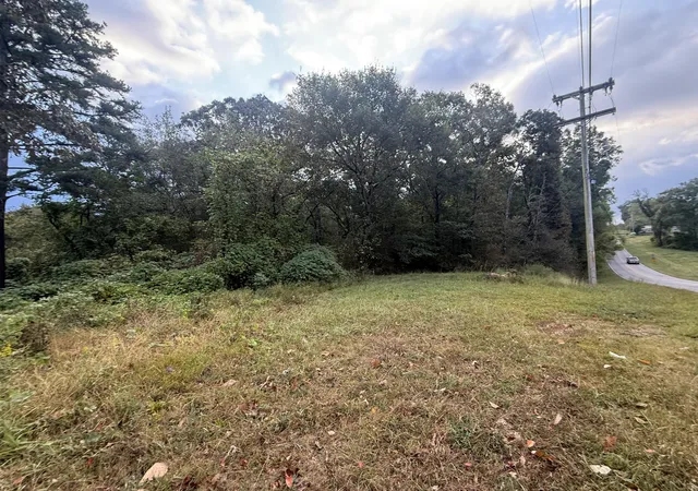 Photo 2 of Land for sale at 0 11th Street, Bridgeport, AL 35740 | MLS# 1543246 | Listing updated on 2026-09-23