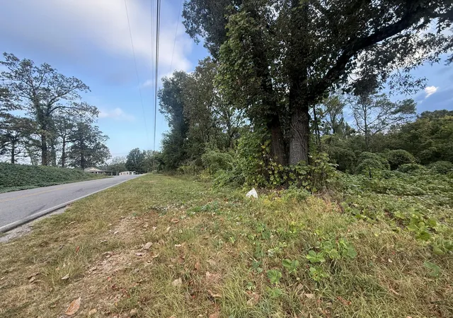 Photo 3 of Land for sale at 0 11th Street, Bridgeport, AL 35740 | MLS# 1543246 | Listing updated on 2026-09-23