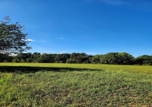 Photo 1 of Sale Pending at 0 Butterfly Cvs Trl #78, Decatur, TN 37322 | MLS# 1543087 | Listing updated on 2026-10-09