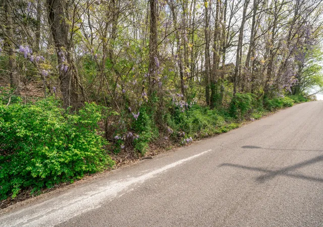 Photo 2 of Land for sale at 522 Crewdson St #11, Chattanooga, TN 37405 | MLS# 1543289 | Listing updated on 2026-09-25
