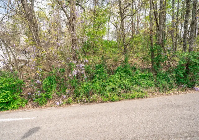Photo 3 of Land for sale at 522 Crewdson St #11, Chattanooga, TN 37405 | MLS# 1543289 | Listing updated on 2026-09-25
