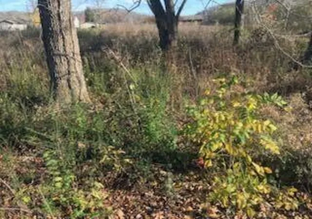 Photo 3 of Land for sale at 195 Pulliam Dr, Decatur, TN 37322 | MLS# 1543815 | Listing updated on 2026-10-02