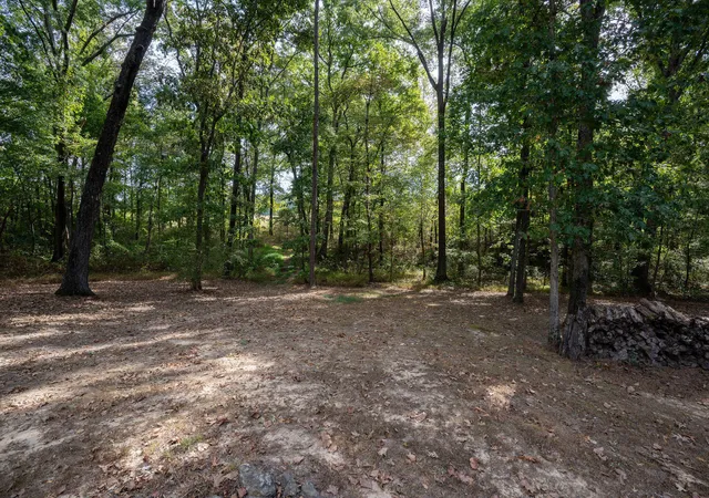 Photo 3 of Single family home for sale at 2323 County Rd 131, Bryant, AL 35958 | MLS# 1543974 | Listing updated on 2026-10-04
