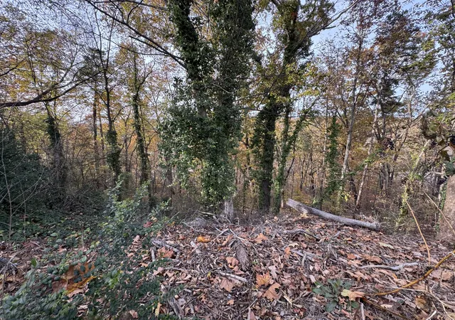 Photo 1 of Land for sale at 9001 Kesler Ln, Chattanooga, TN 37421 | MLS# 1544172 | Listing updated on 2026-10-07