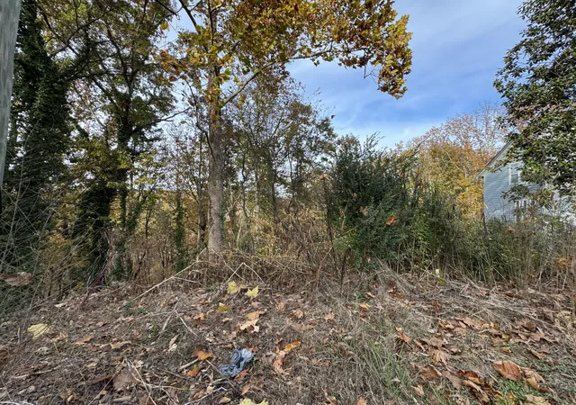 Photo 3 of Land for sale at 9001 Kesler Ln, Chattanooga, TN 37421 | MLS# 1544172 | Listing updated on 2026-10-07