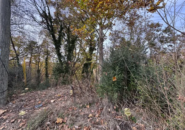 Photo 4 of Land for sale at 9001 Kesler Ln, Chattanooga, TN 37421 | MLS# 1544172 | Listing updated on 2026-10-07