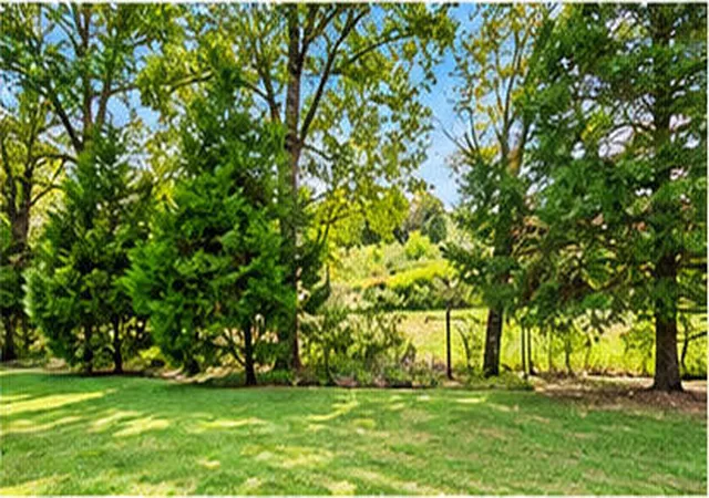 Photo 3 of Single family home for sale at 318 Battle Blf Dr, Rossville, GA 30741 | MLS# 1544359 | Listing updated on 2026-10-19