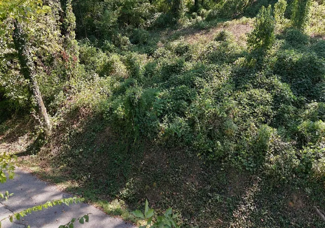 Photo 1 of Land for sale at 456 Red Oak Dr, Chattanooga, TN 37415 | MLS# 1544406 | Listing updated on 2026-10-10