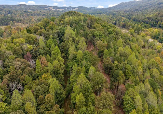 Photo 3 of House for sale at Tract 11 Beavers Rd, Rocky Face, GA 30740 | MLS# 1544559 | Listing updated on 2026-10-14