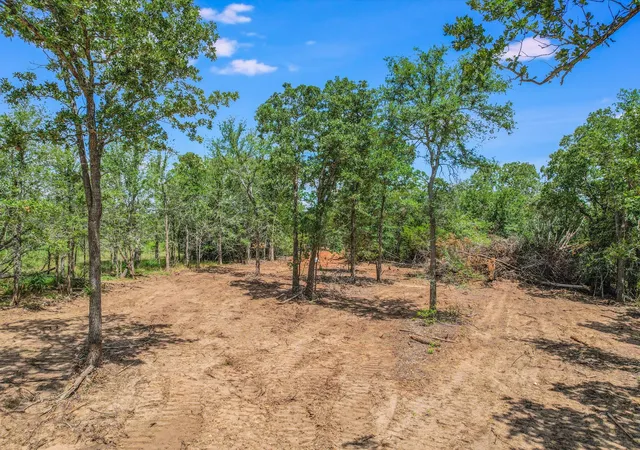 Photo 3 of Land for sale at Lot 29D Mesquite Dr, Cedar Creek, TX 78612 | MLS# 4232112 | Listing updated on 2026-09-14