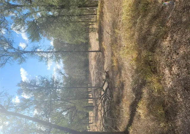 Photo 2 of Land for sale at 2492 Fm 1704, Elgin, TX 78621 | MLS# 1160055 | Listing updated on 2026-09-21
