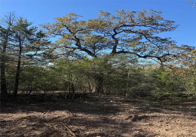 Photo 4 of Land for sale at 628 Leisure Ln, Cedar Creek, TX 78612 | MLS# 3222220 | Listing updated on 2026-09-15