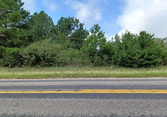 Land for sale at 7179 Fm 141, Dime Box, TX 77853 | MLS# 6190477
