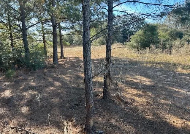 Photo 3 of Land for sale at 7179 Fm 141, Dime Box, TX 77853 | MLS# 6190477 | Listing updated on 2026-09-15