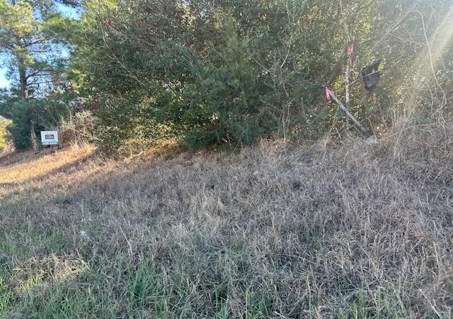Photo 4 of Land for sale at 7179 Fm 141, Dime Box, TX 77853 | MLS# 6190477 | Listing updated on 2026-09-15