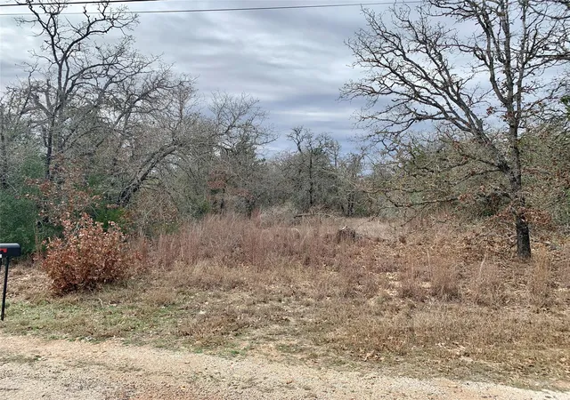Photo 1 of Land for sale at Tbd Peace Pipe/buffalo Run, Smithville, TX 78957 | MLS# 2041247 | Listing updated on 2026-09-09