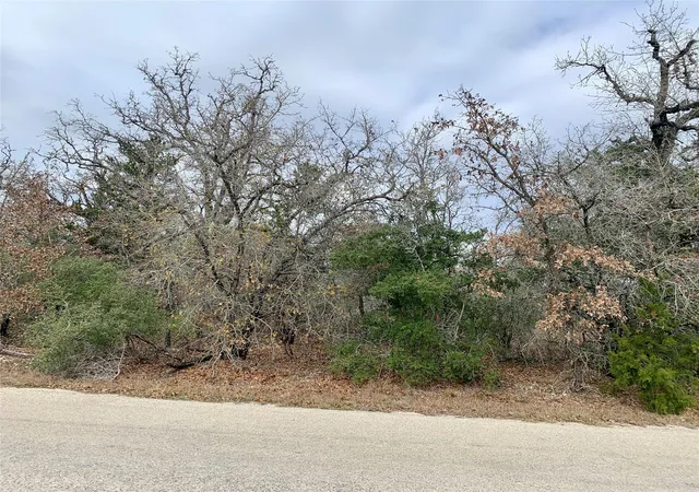 Photo 4 of Land for sale at Tbd Peace Pipe/buffalo Run, Smithville, TX 78957 | MLS# 2041247 | Listing updated on 2026-09-09