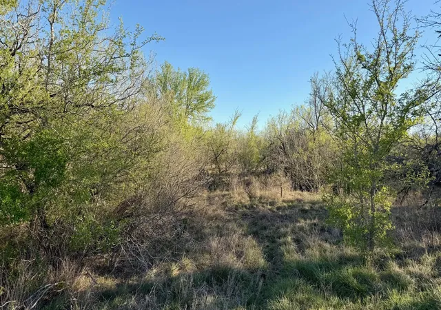 Photo 4 of Land for sale at 14 Spanish Oaks Blvd, Lockhart, TX 78644 | MLS# 5728010 | Listing updated on 2026-09-28