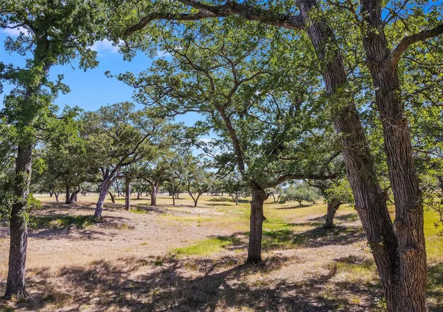 Photo 3 of Land for sale at 762 Karisch Rd, Giddings, TX 78942 | MLS# 9043176 | Listing updated on 2026-09-15