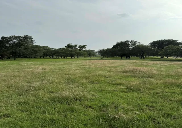 Photo 1 of Land for sale at 2251 County Rd 234 Ln, Georgetown, TX 78633 | MLS# 2709099 | Listing updated on 2026-09-14