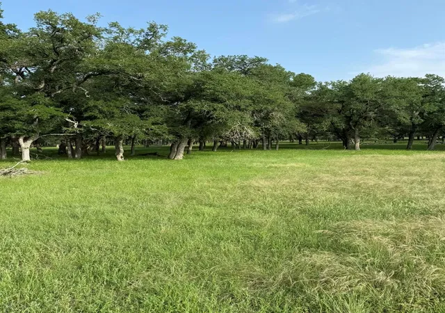 Photo 2 of Land for sale at 2251 County Rd 234 Ln, Georgetown, TX 78633 | MLS# 2709099 | Listing updated on 2026-09-14