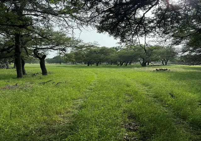 Photo 4 of Land for sale at 2251 County Rd 234 Ln, Georgetown, TX 78633 | MLS# 2709099 | Listing updated on 2026-09-14