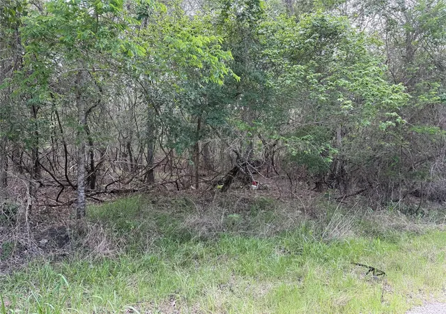 Photo 1 of Land for sale at 305 Nene Ln, Bastrop, TX 78602 | MLS# 8187570 | Listing updated on 2026-10-02