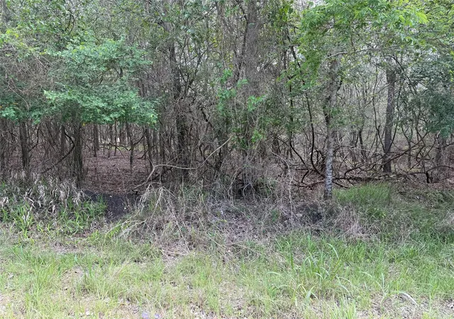 Photo 2 of Land for sale at 305 Nene Ln, Bastrop, TX 78602 | MLS# 8187570 | Listing updated on 2026-10-02