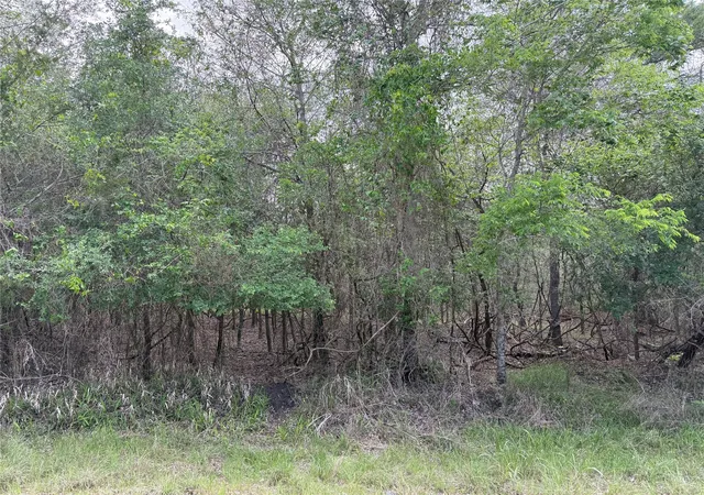 Photo 3 of Land for sale at 305 Nene Ln, Bastrop, TX 78602 | MLS# 8187570 | Listing updated on 2026-10-02