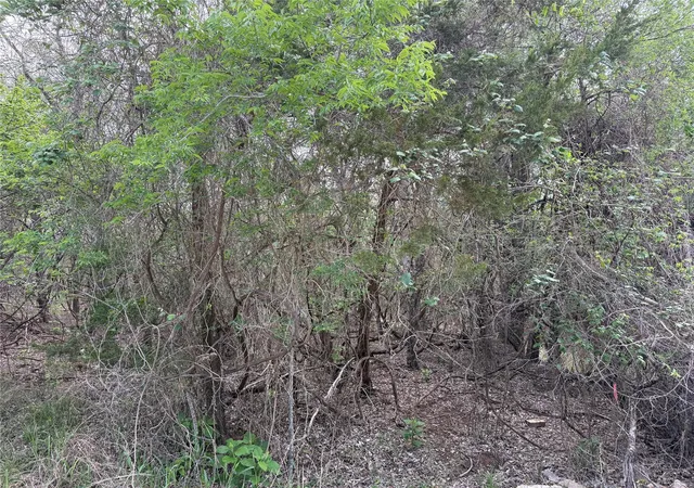 Photo 3 of Land for sale at 305 Nene Ln, Bastrop, TX 78602 | MLS# 8187570 | Listing updated on 2026-10-02
