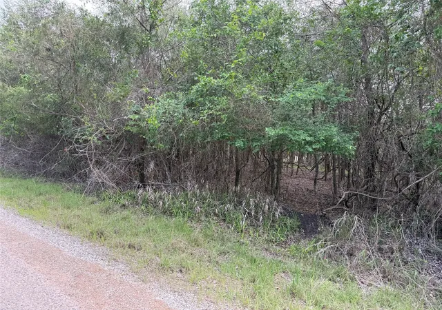 Photo 4 of Land for sale at 305 Nene Ln, Bastrop, TX 78602 | MLS# 8187570 | Listing updated on 2026-10-02