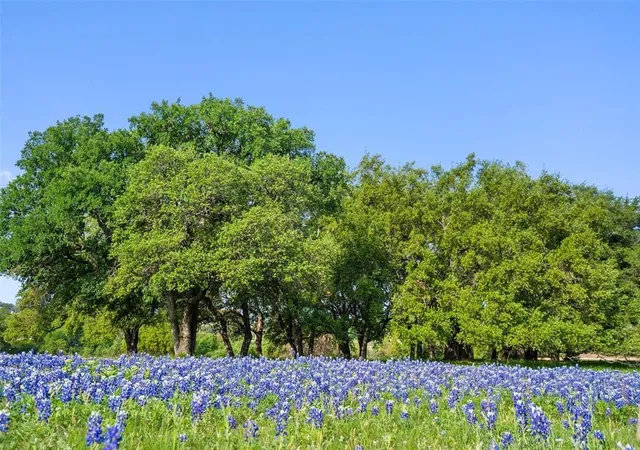 Photo 3 of Land for sale at 27132 Founders Pl, Spicewood, TX 78669 | MLS# 7230888 | Listing updated on 2026-10-05