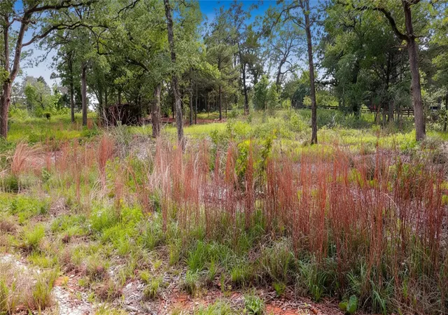Photo 1 of Land for sale at 200 Cheyenne Dr, Smithville, TX 78957 | MLS# 7042553 | Listing updated on 2026-09-12