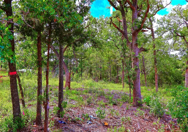 Photo 3 of Land for sale at 200 Cheyenne Dr, Smithville, TX 78957 | MLS# 7042553 | Listing updated on 2026-09-12