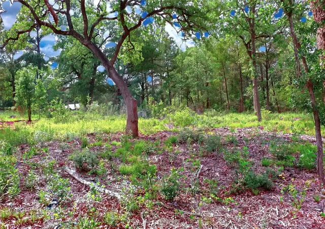 Photo 3 of Land for sale at 200 Cheyenne Dr, Smithville, TX 78957 | MLS# 7042553 | Listing updated on 2026-09-12