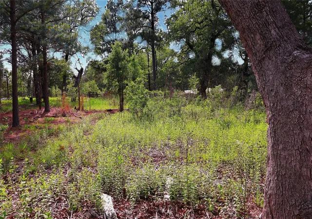 Photo 4 of Land for sale at 200 Cheyenne Dr, Smithville, TX 78957 | MLS# 7042553 | Listing updated on 2026-09-12