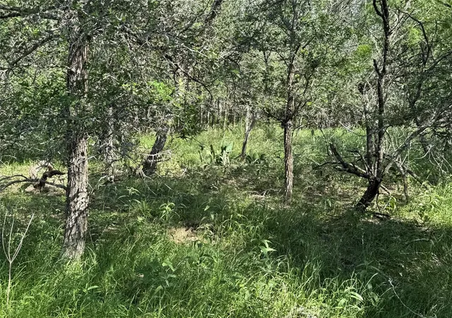 Photo 2 of Land for sale at 232 Mokulua Ln, Bastrop, TX 78602 | MLS# 4252673 | Listing updated on 2026-10-05