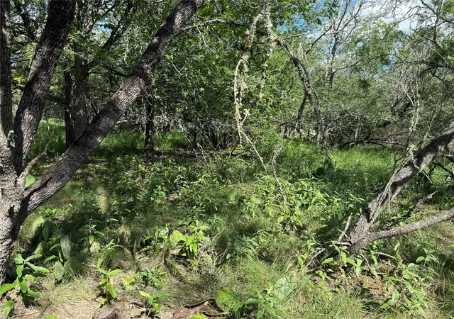 Photo 3 of Land for sale at 232 Mokulua Ln, Bastrop, TX 78602 | MLS# 4252673 | Listing updated on 2026-10-05