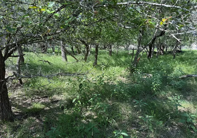 Land for sale at 236 Mokulua Ln, Bastrop, TX 78602 | MLS# 3332884