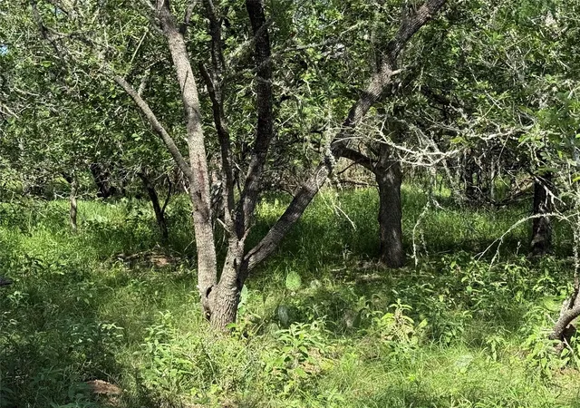 Photo 2 of Land for sale at 236 Mokulua Ln, Bastrop, TX 78602 | MLS# 3332884 | Listing updated on 2026-10-05